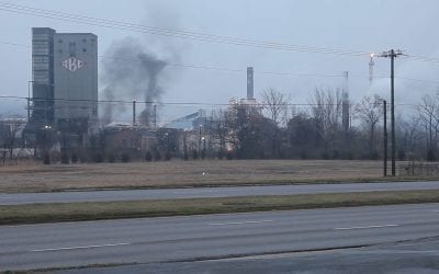 How a Coke Plant Works