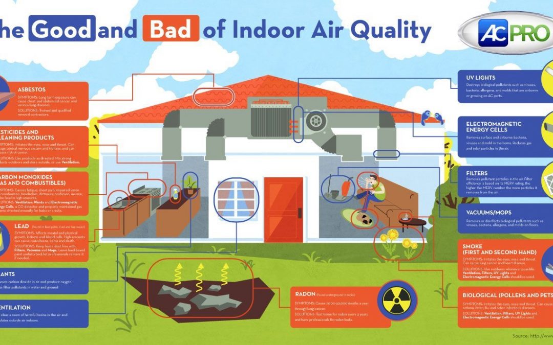 Guest Blog Post: How Clean Is The Air in Your Home?