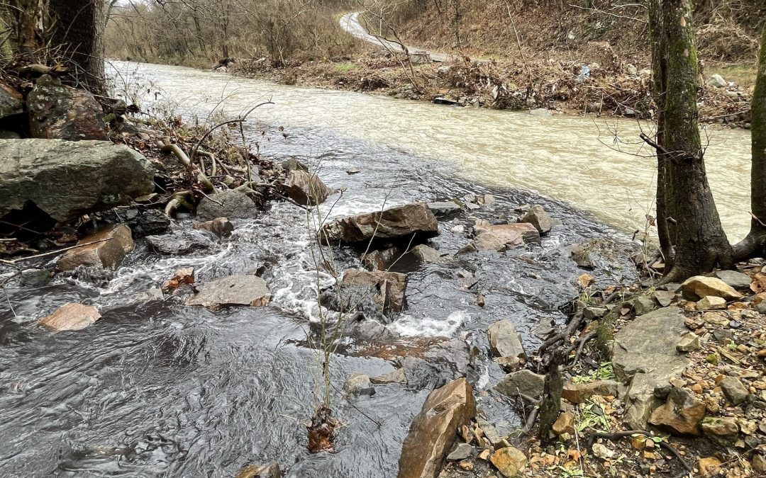 Bluestone Coke Violates Clean Water Act, Polluting Five Mile Creek 