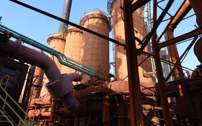 COMMUNITY CHRONICLE #10: FORGED IN LABOR